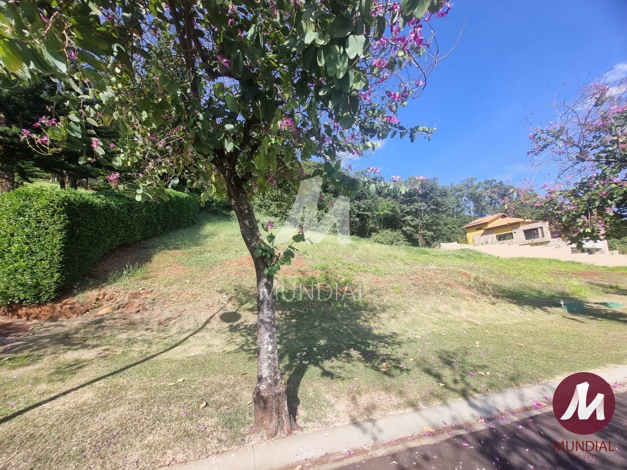 Terreno/Lote — foto 2