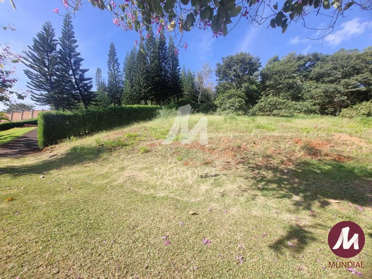 Terreno/Lote — foto 3