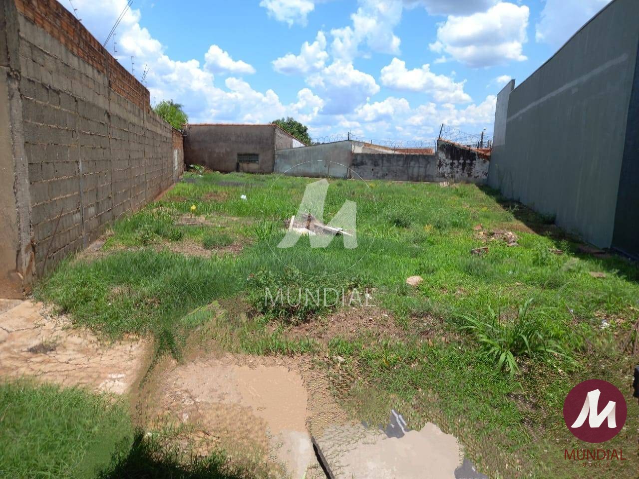 Terreno/Lote — foto 1