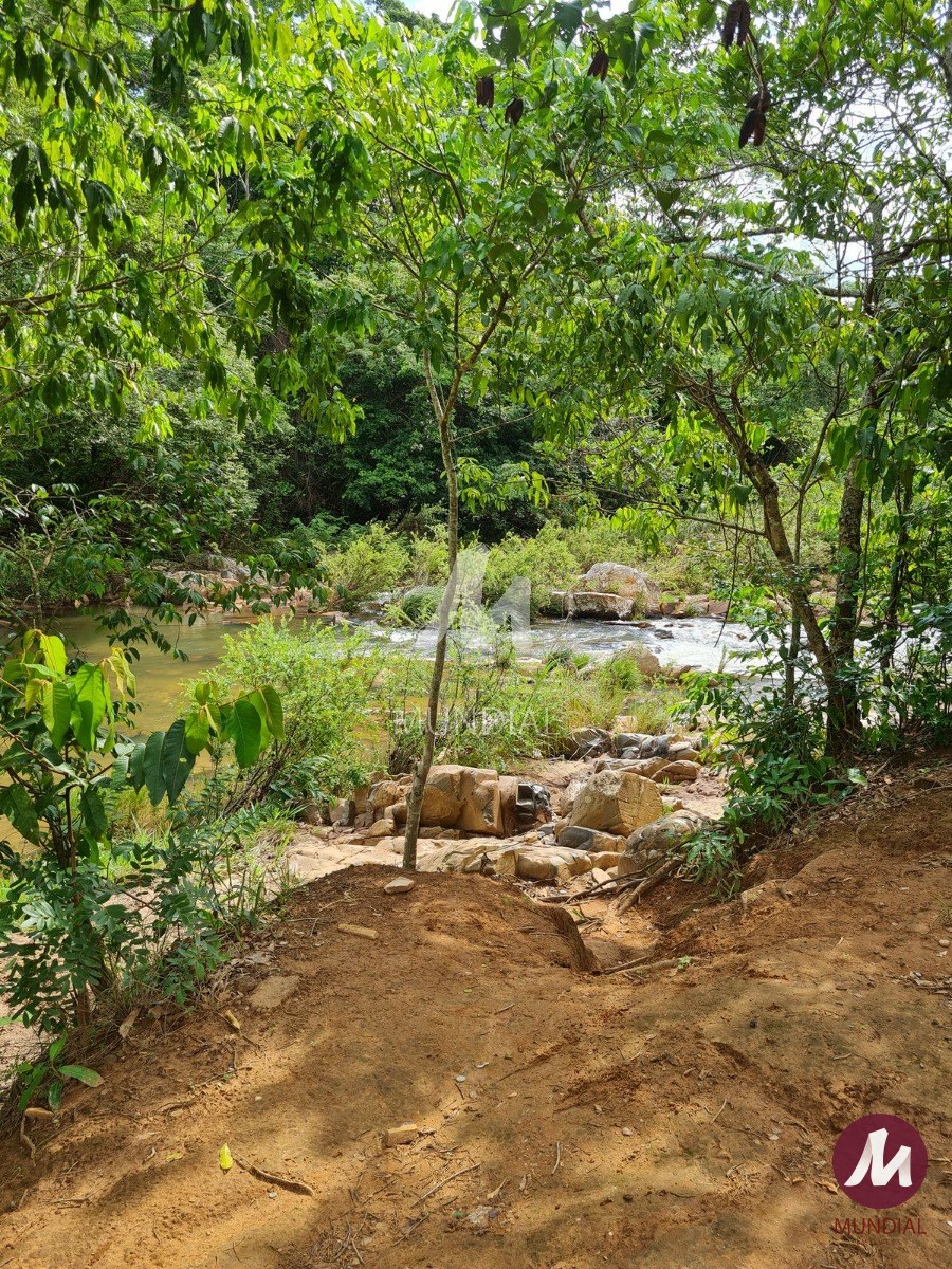 Jardim — foto 7