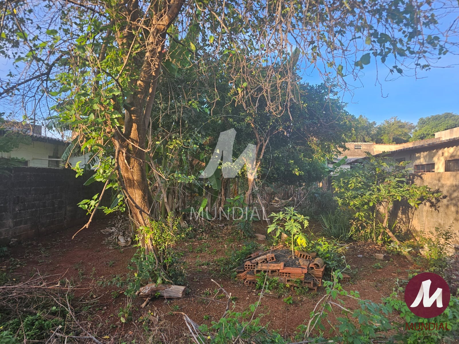 Terreno/Lote — foto 2