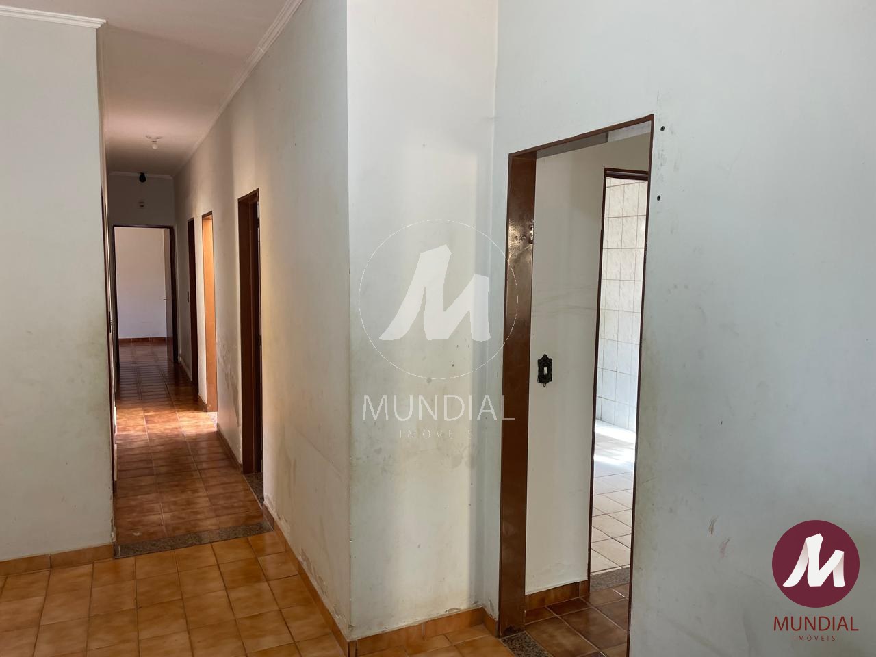 Quintal/corredores — foto 9