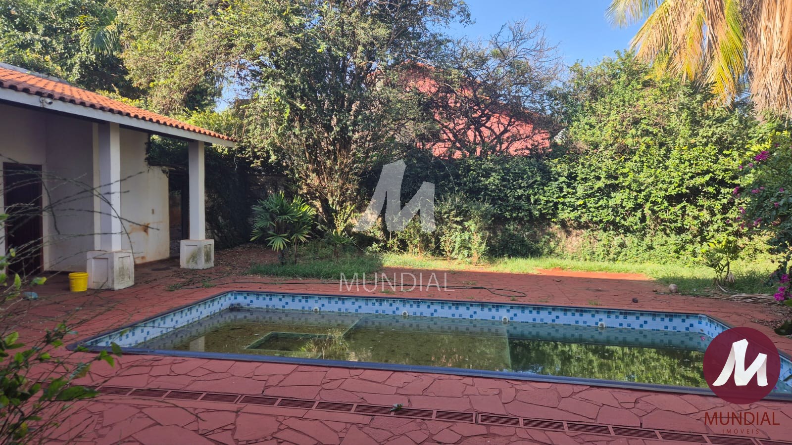 Quintal/corredores — foto 14