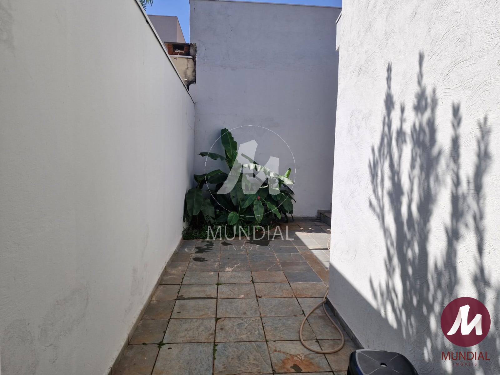 Quintal/corredores — foto 18