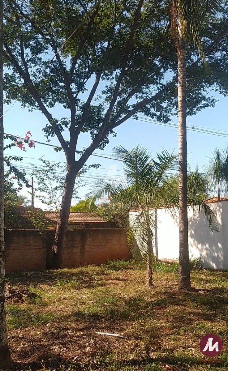 Quintal/corredores — foto 1