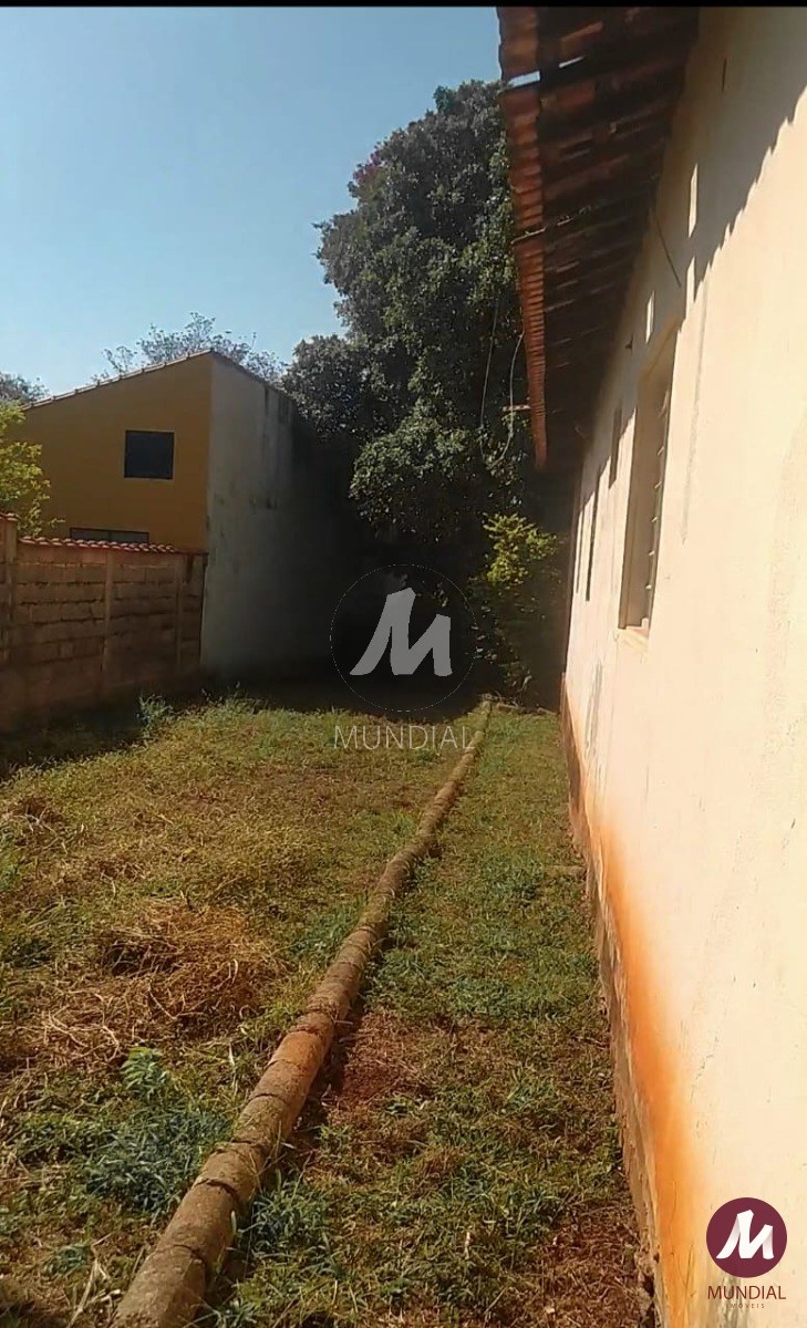Quintal/corredores — foto 3