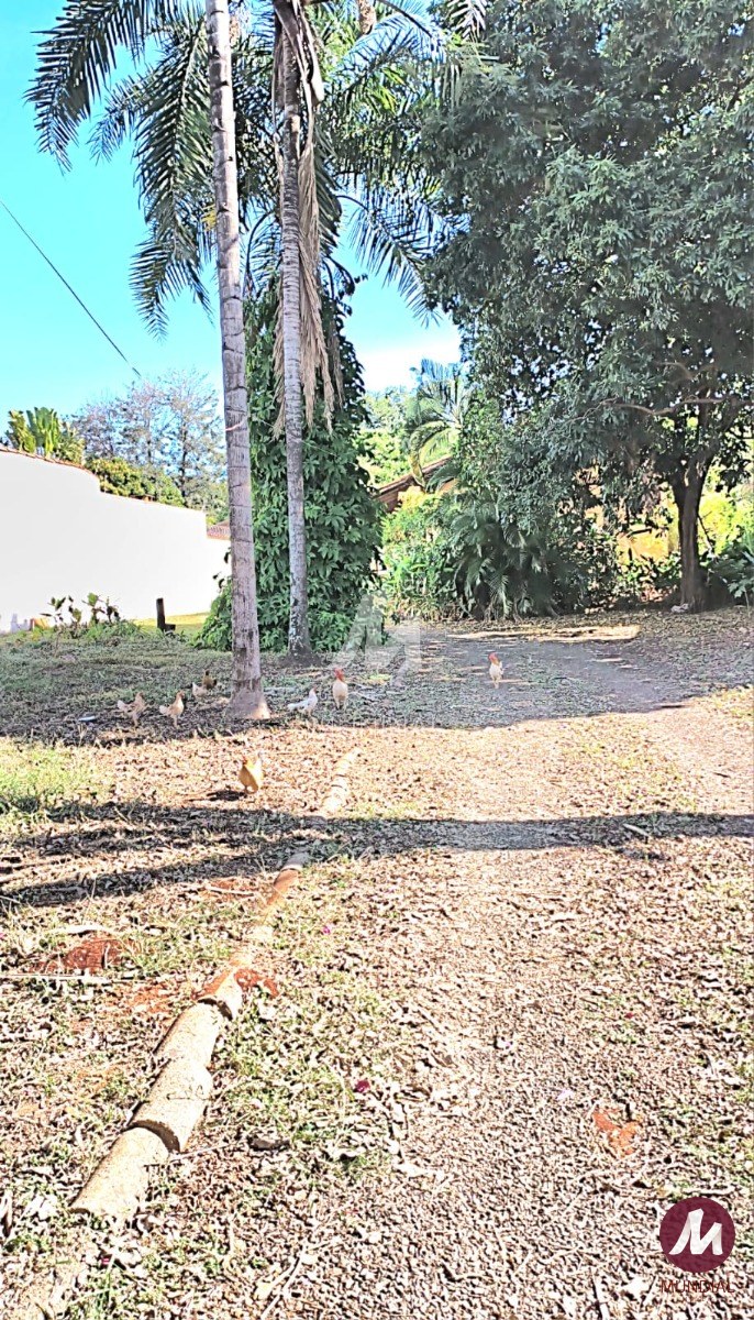 Quintal/corredores — foto 4