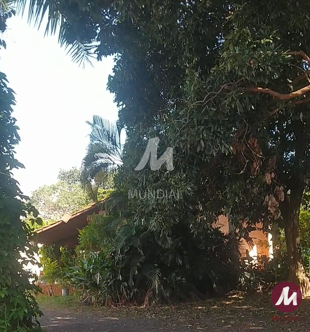 Quintal/corredores — foto 5