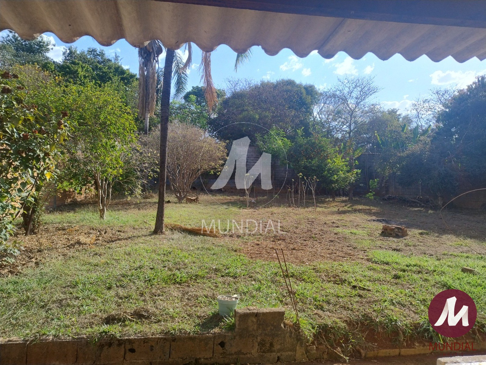 Quintal/corredores — foto 7