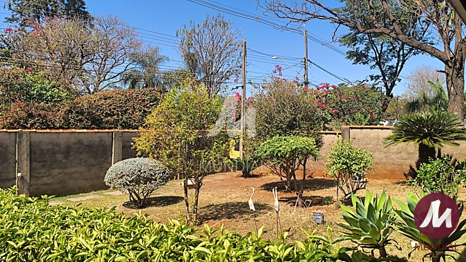 Jardim — foto 5