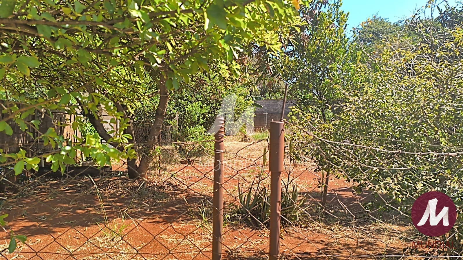 Quintal/corredores — foto 6