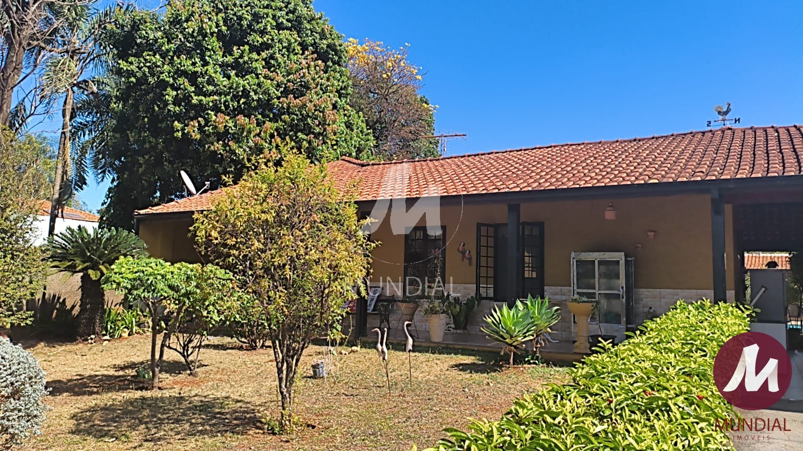 Quintal/corredores — foto 8
