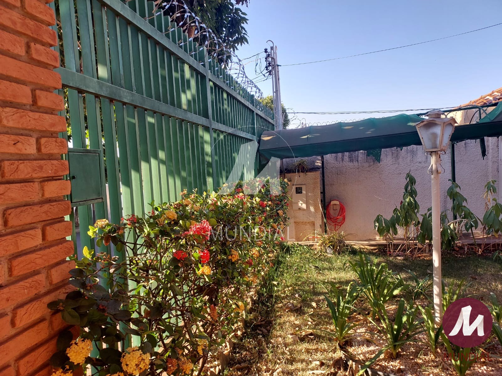 Jardim — foto 10