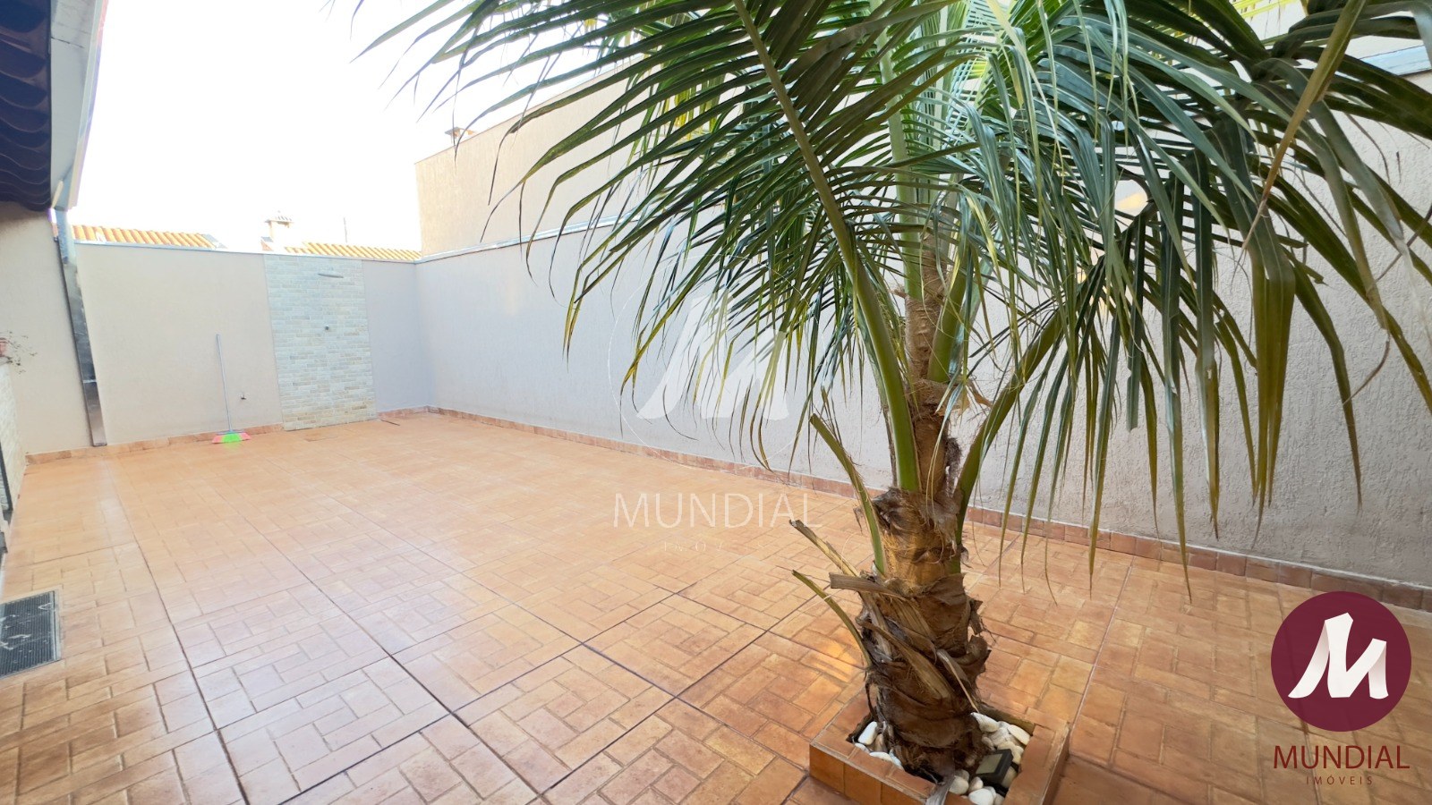 Quintal/corredores — foto 2