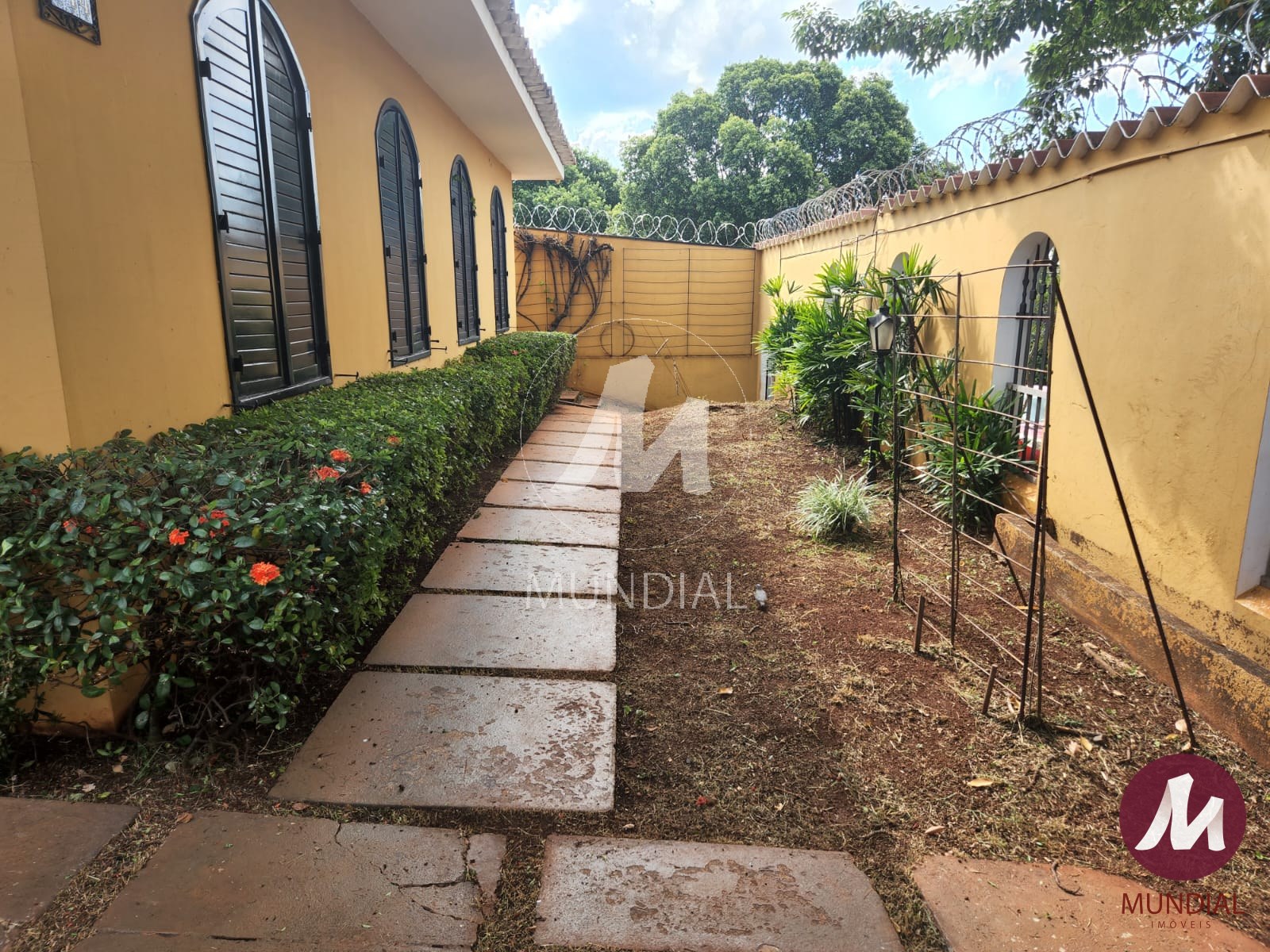 Jardim — foto 2
