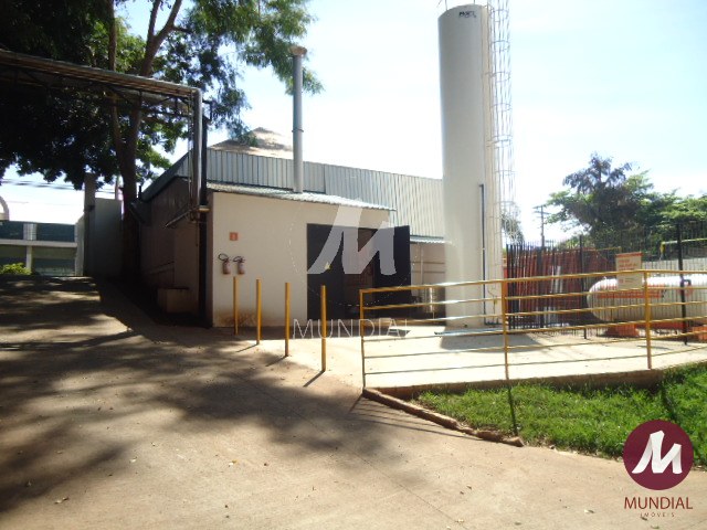 Outras — foto 12