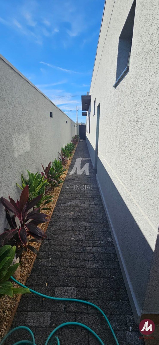 Quintal/corredores — foto 18