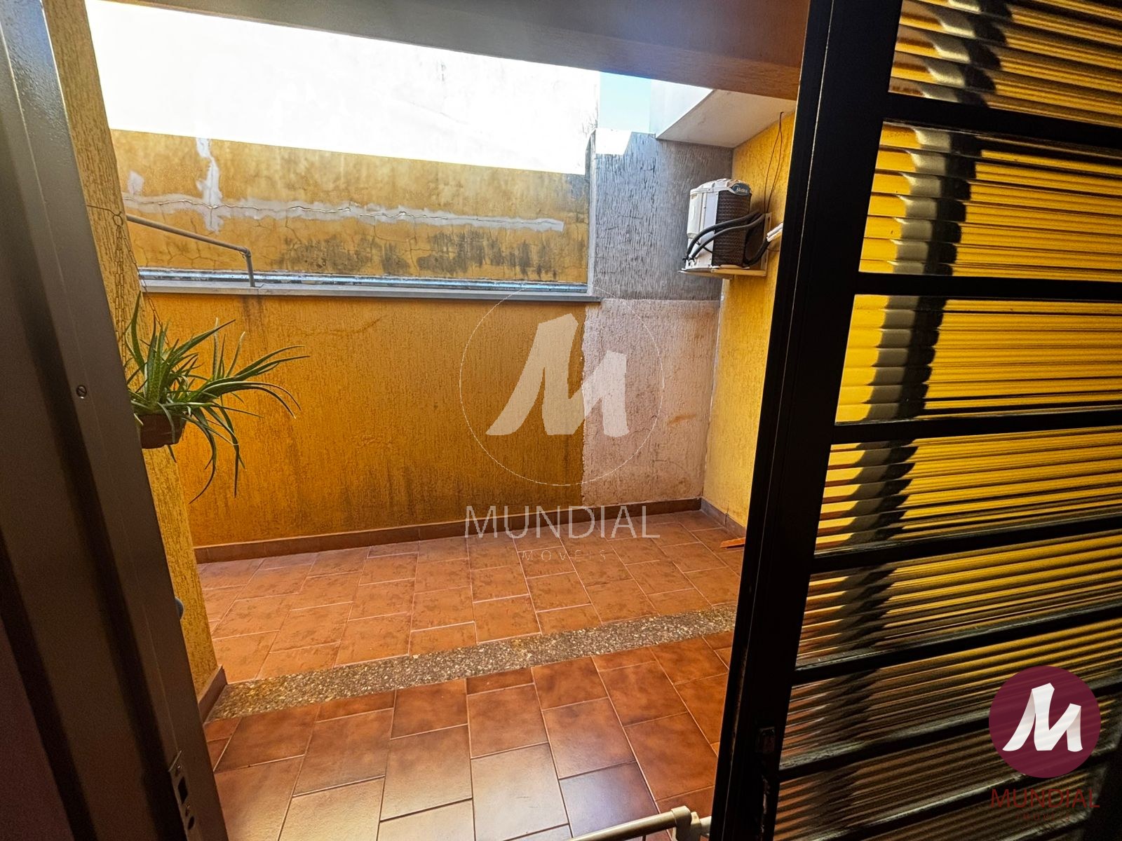 Quintal/corredores — foto 18