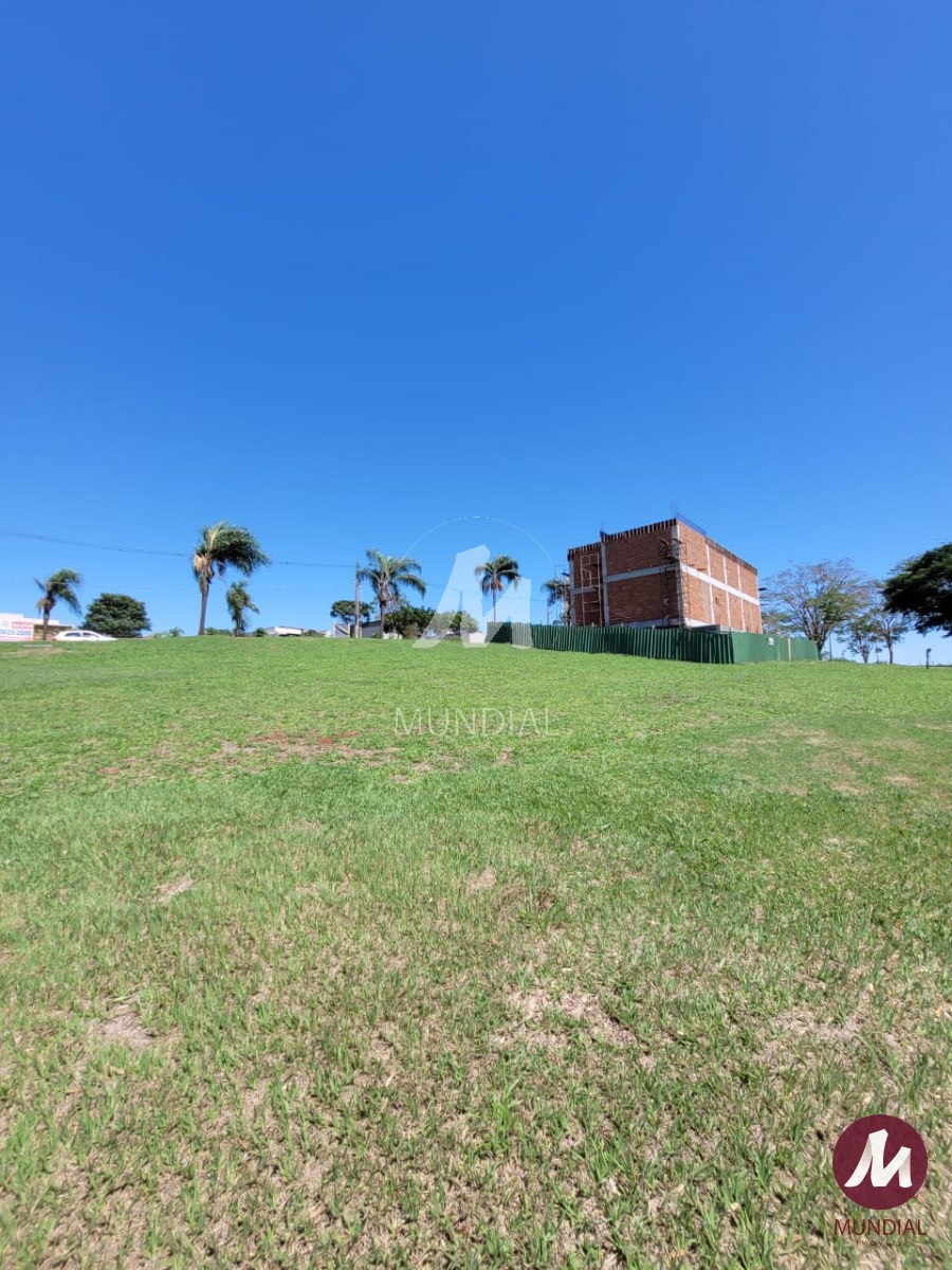 Terreno/Lote — foto 4