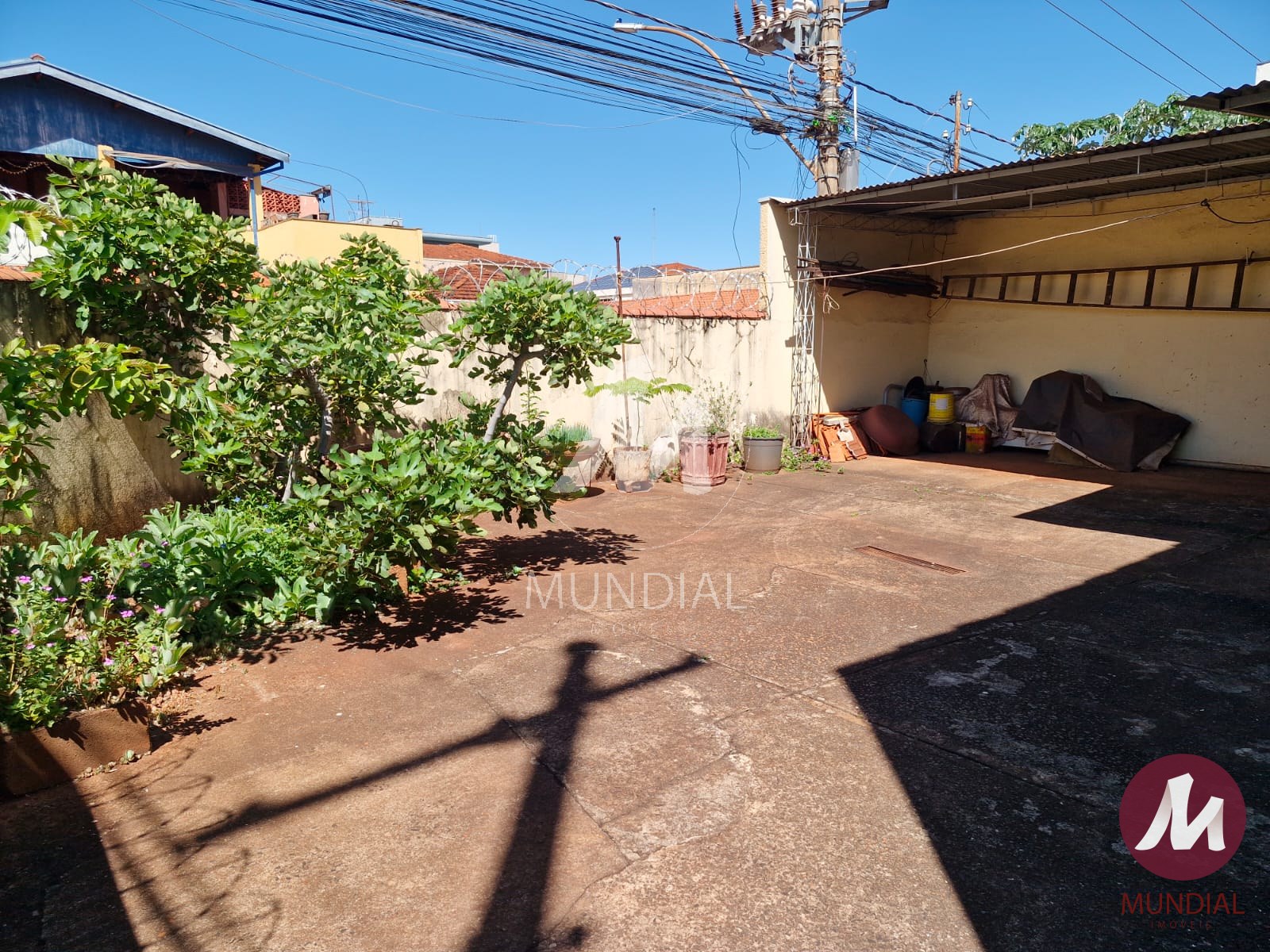 Quintal/corredores — foto 25