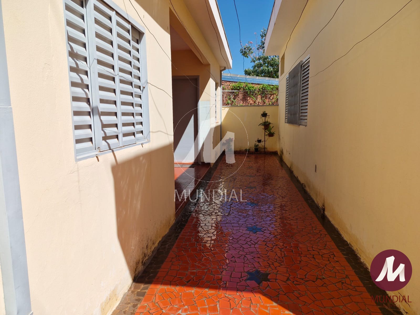Quintal/corredores — foto 27