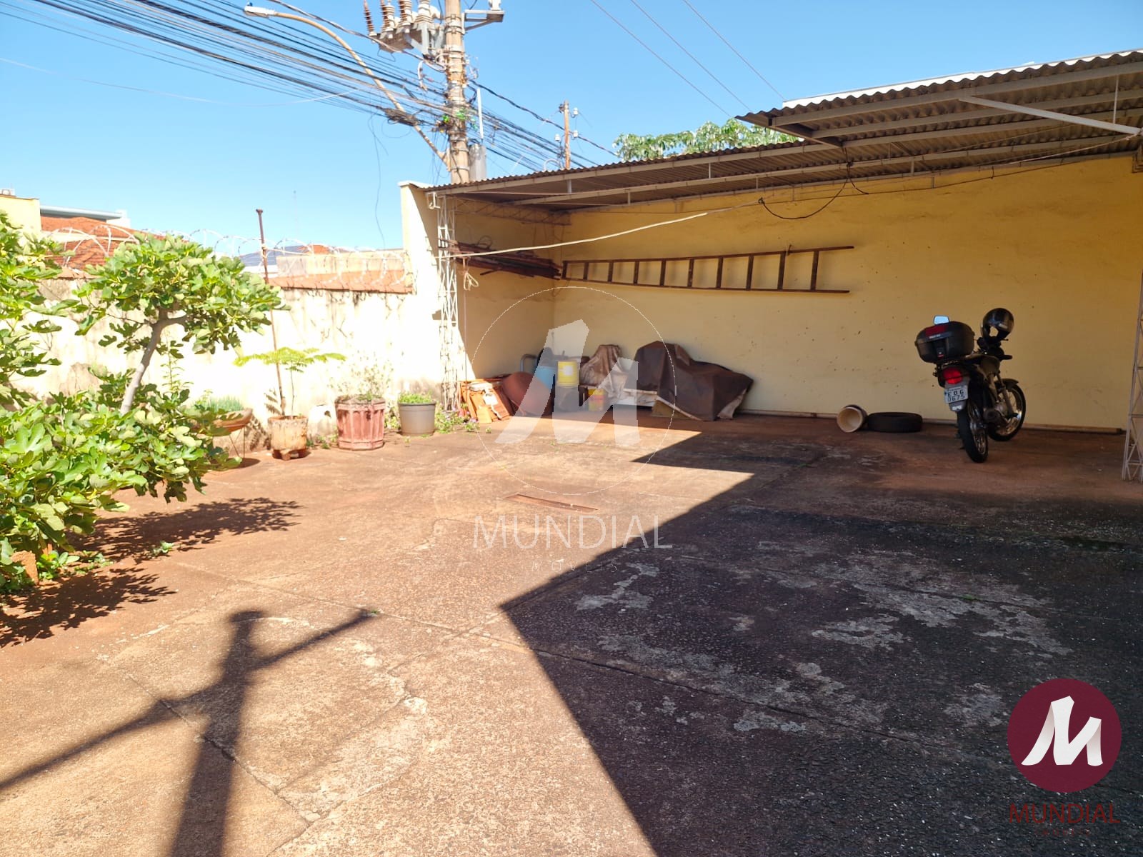 Quintal/corredores — foto 33