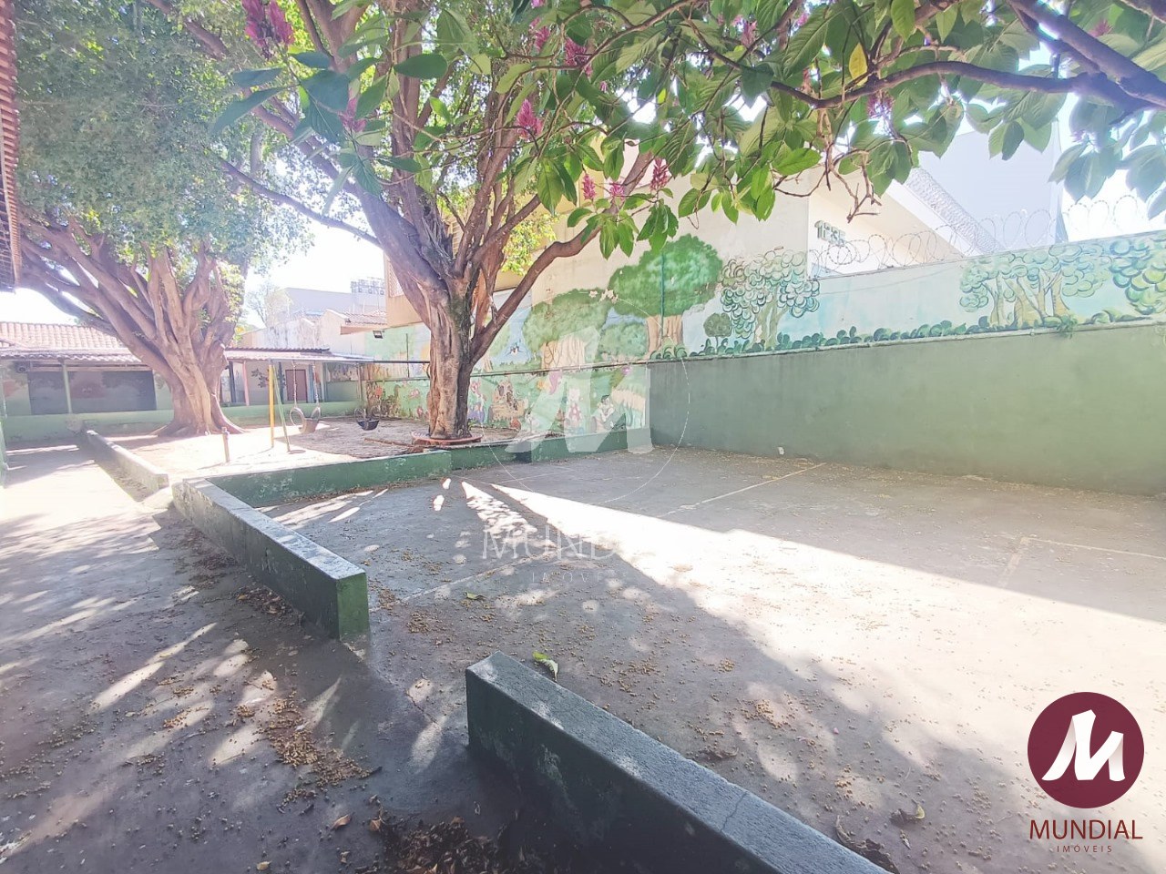 Quintal/corredores — foto 7