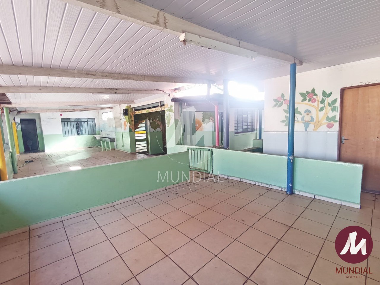 Quintal/corredores — foto 10