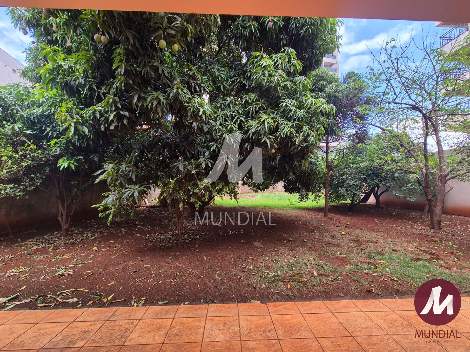 Quintal/corredores — foto 27