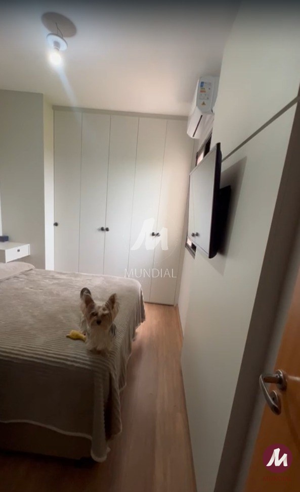 Suite — foto 6