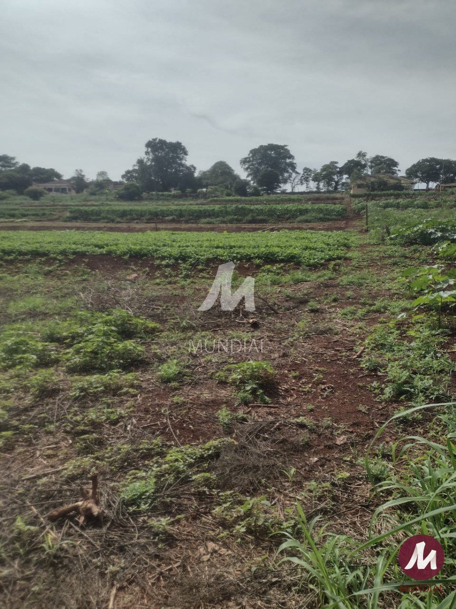 Terreno/Lote — foto 2