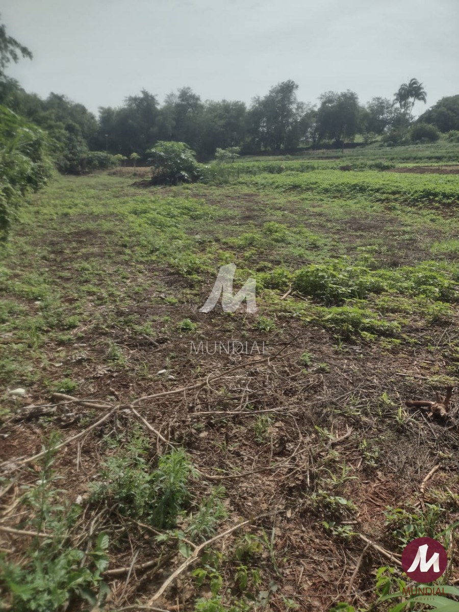 Terreno/Lote — foto 3
