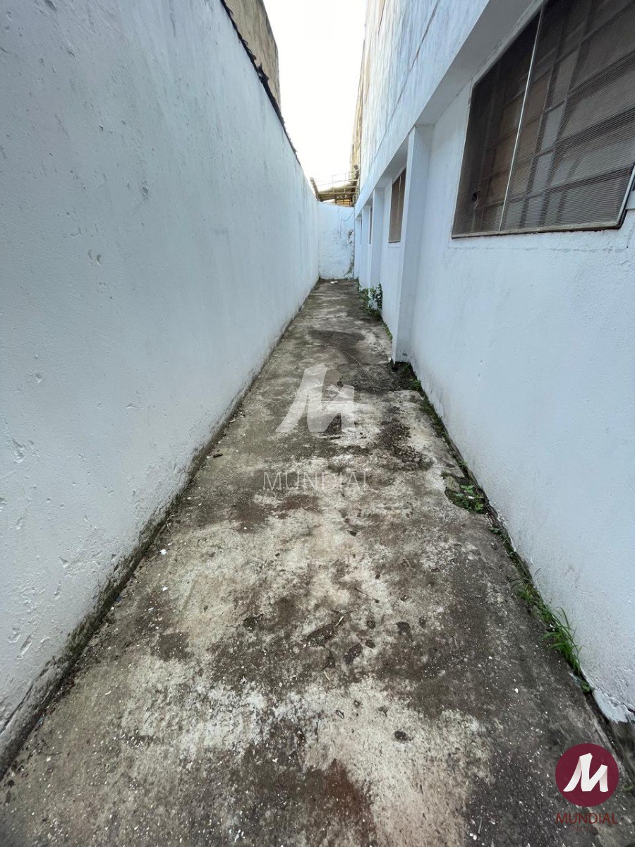 Quintal/corredores — foto 13