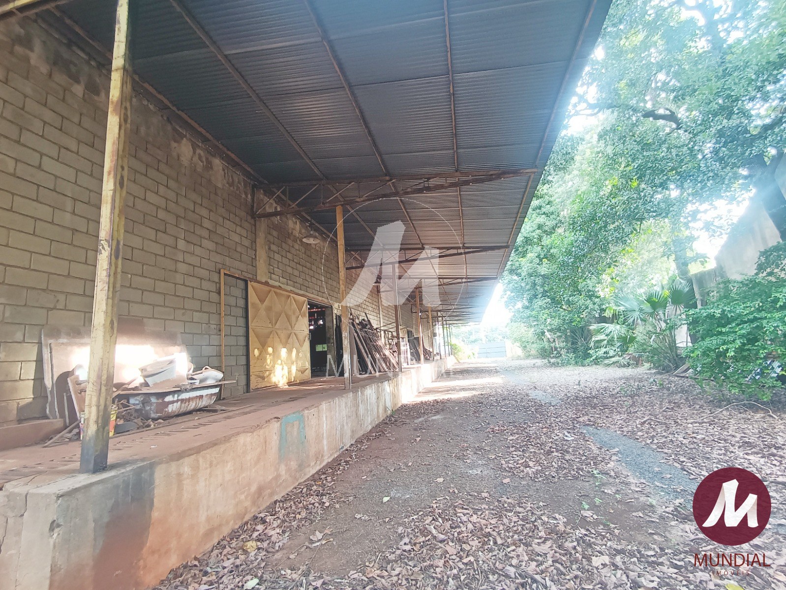 Outras — foto 15