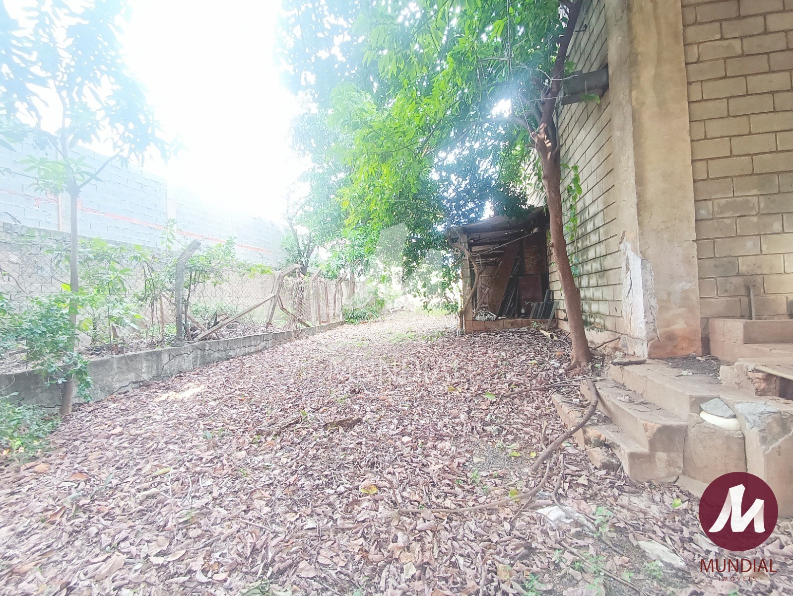 Outras — foto 16