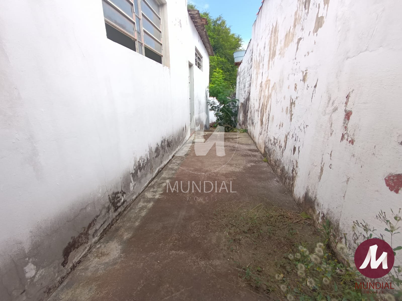 Quintal/corredores — foto 7