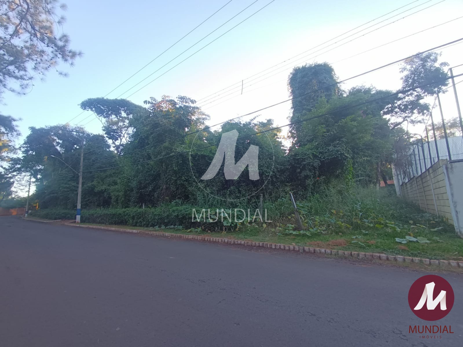 Terreno/Lote — foto 3