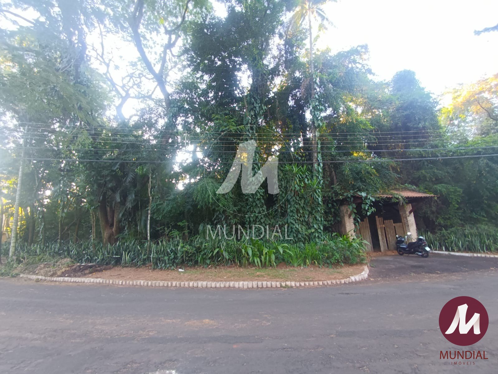 Terreno/Lote — foto 4