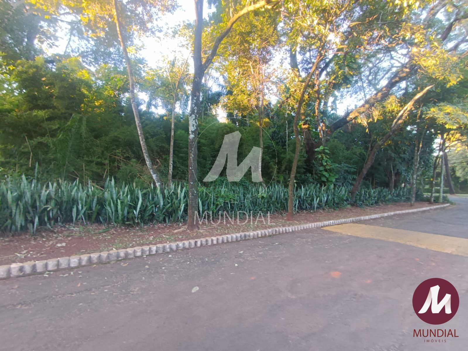 Terreno/Lote — foto 6