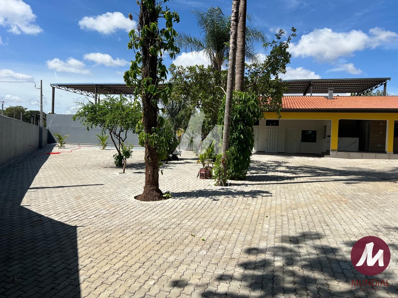 Quintal/corredores — foto 3