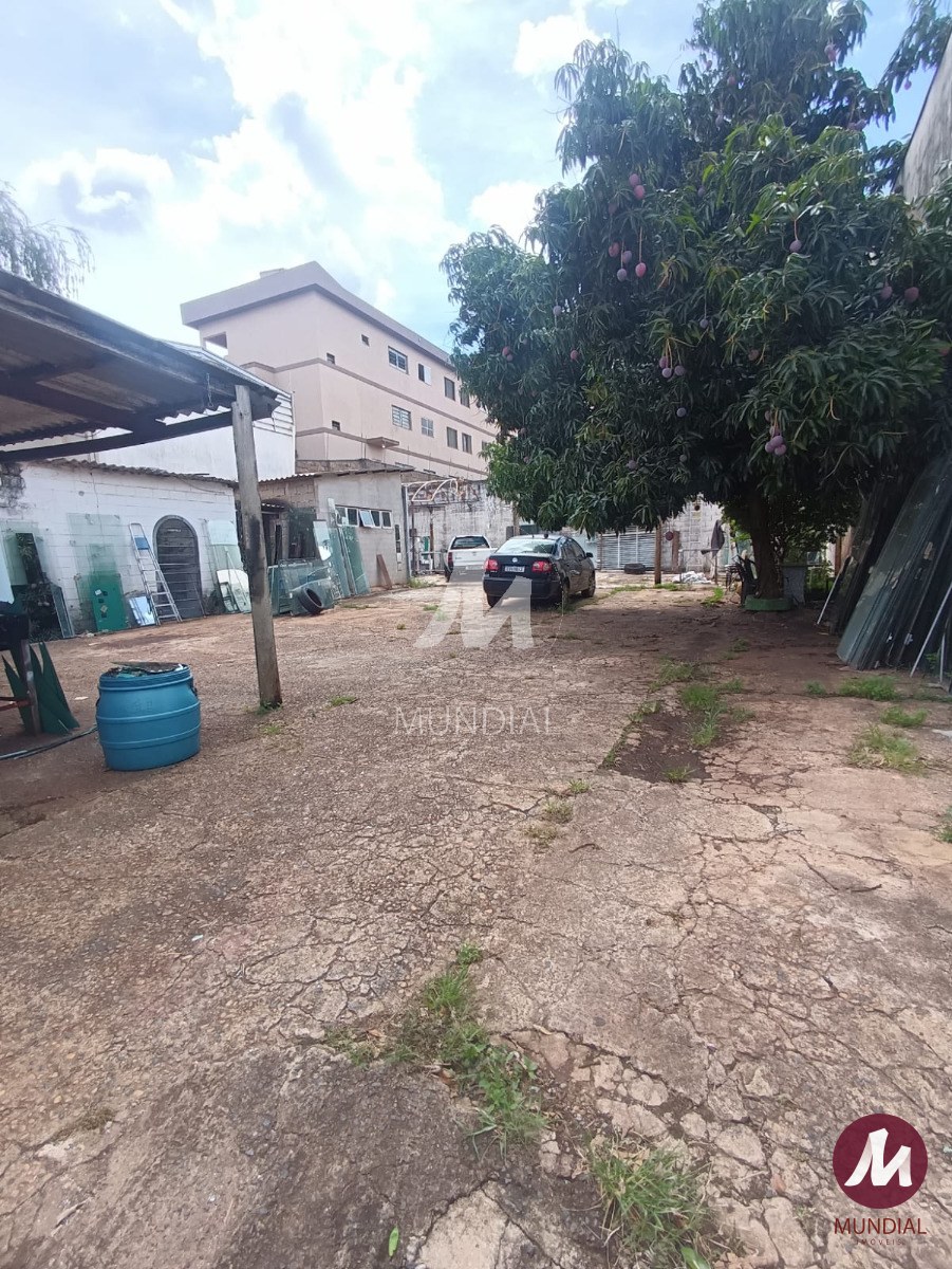 Quintal/corredores — foto 3