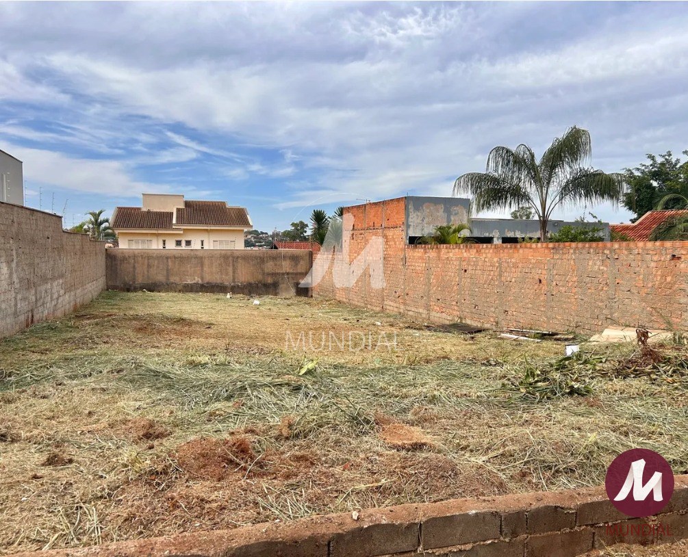 Terreno/Lote — foto 3