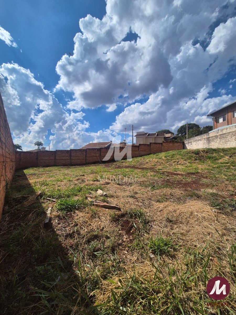 Terreno/Lote — foto 12