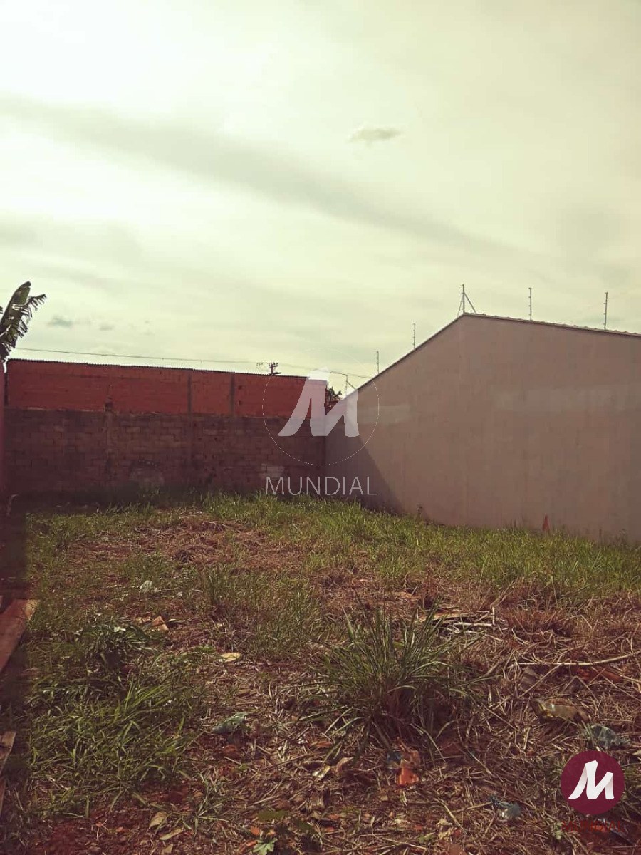 Terreno/Lote — foto 3