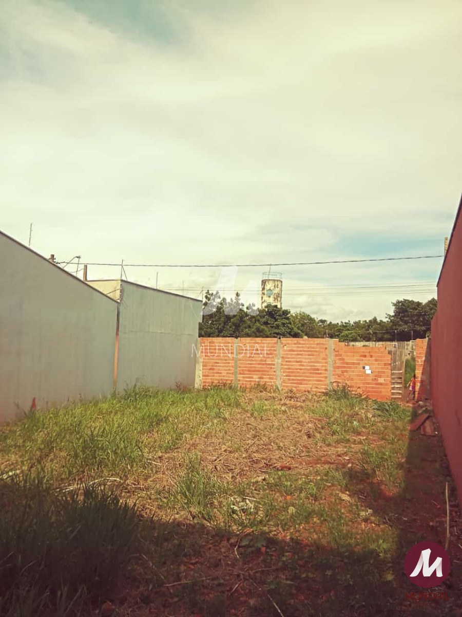 Terreno/Lote — foto 4
