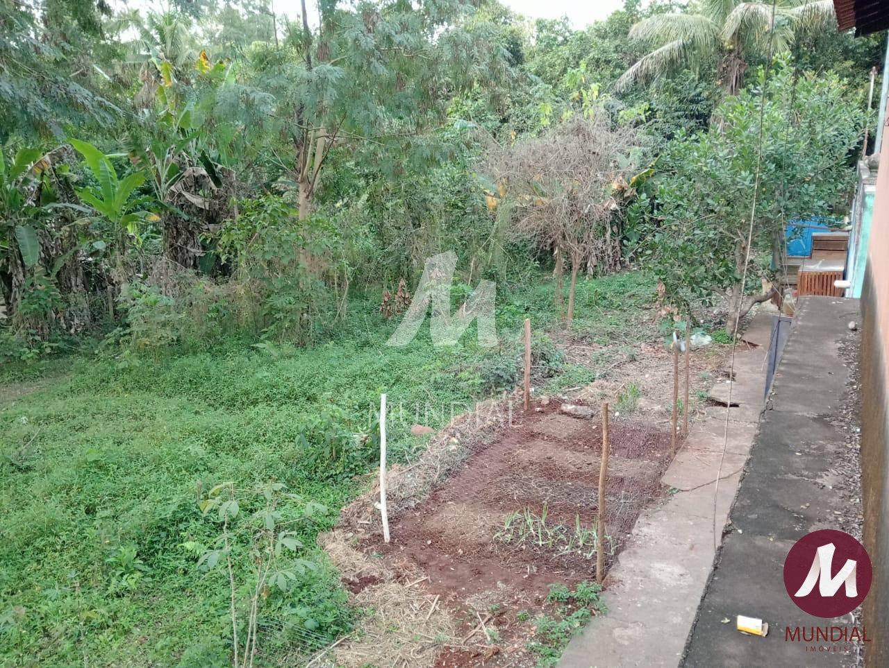 Jardim — foto 7