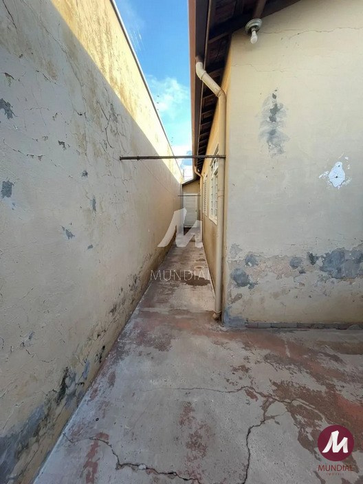 Quintal/corredores — foto 14