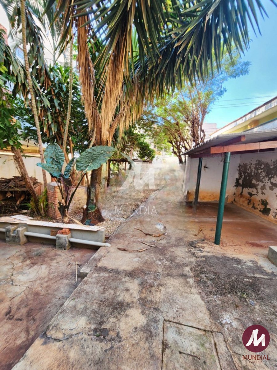 Quintal/corredores — foto 10
