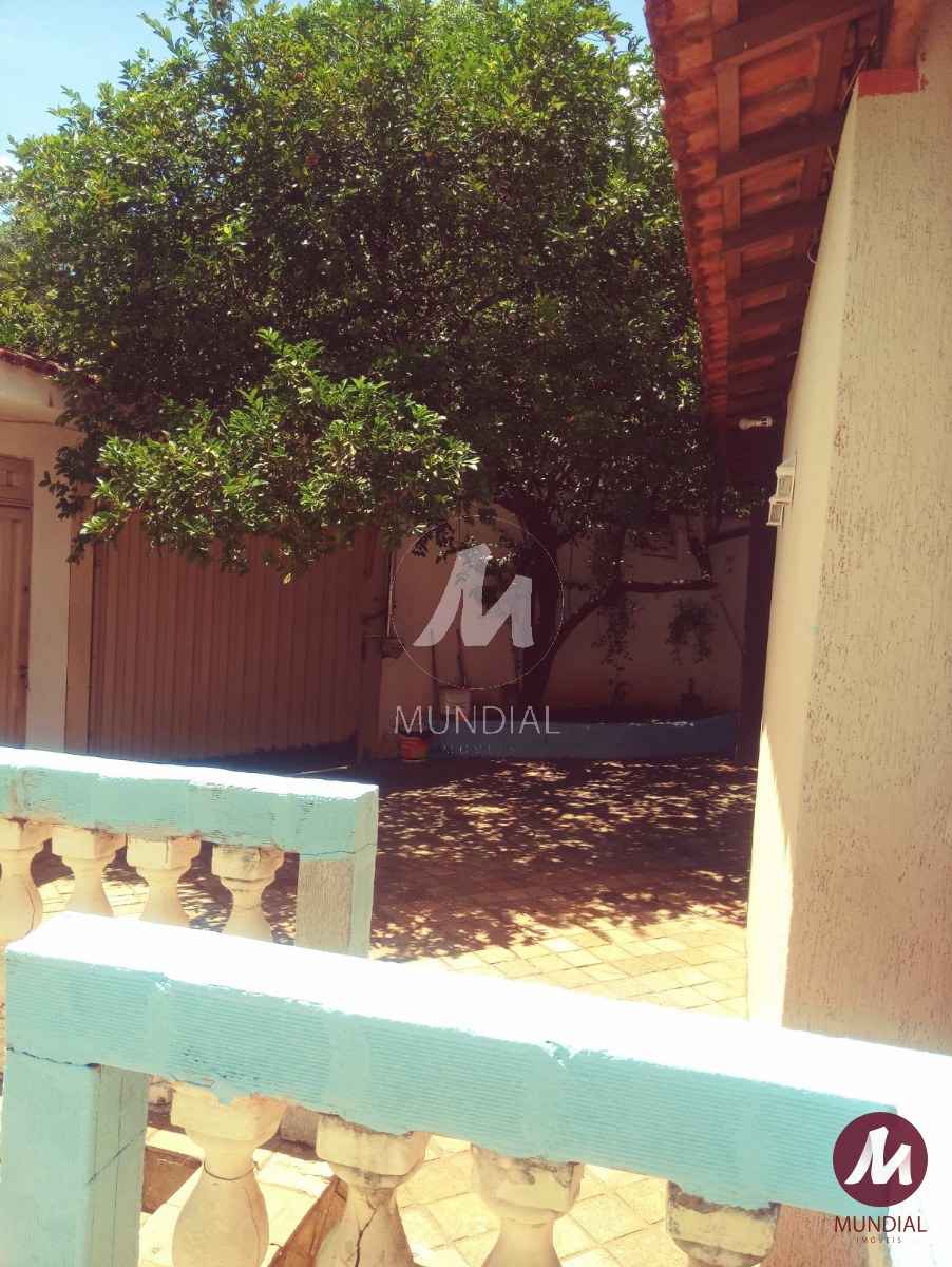 Quintal/corredores — foto 15
