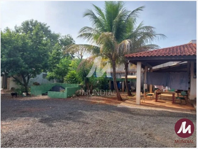 Quintal/corredores — foto 5